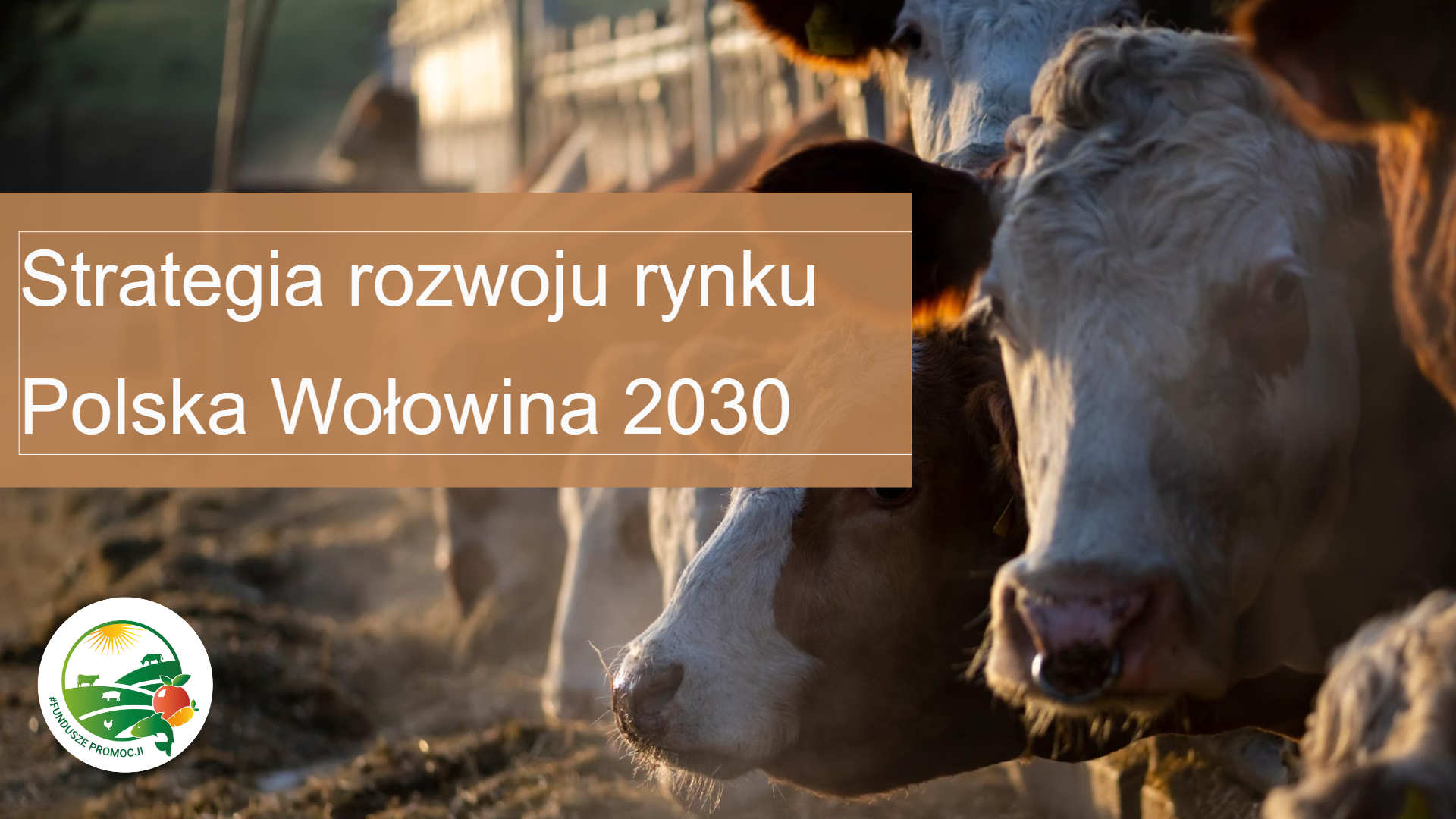 Strategia rozwoju rynku polska wołowina 2030